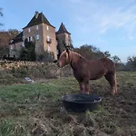 Manoir Du Boscau, Louis Ix アパート Prudhomat
