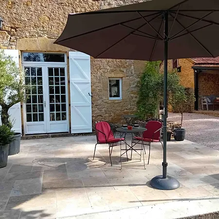 Manoir Du Boscau, Louis Ix *