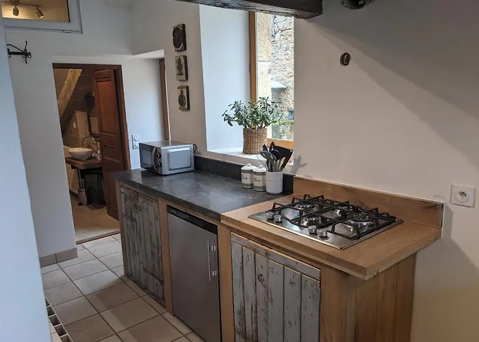 Manoir Du Boscau, Louis Ix *