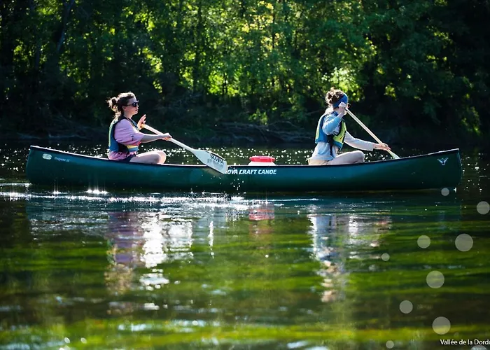 Manoir Du Boscau, Louis Ix