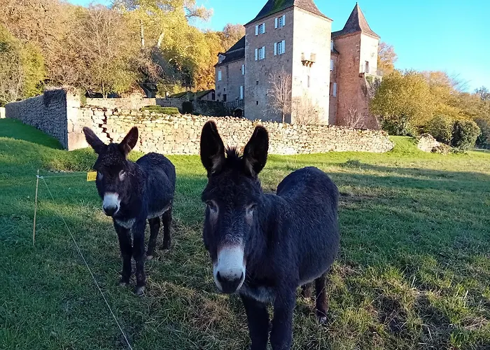 Apartamento Manoir Du Boscau, Louis Ix