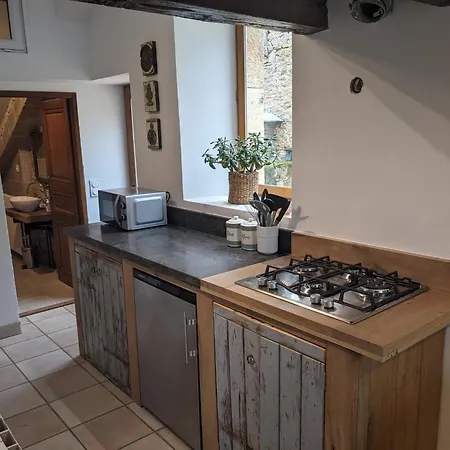 Manoir Du Boscau, Louis Ix *