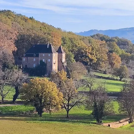 Chateau du Boscau, Louis IX