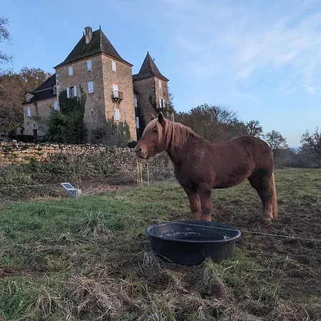 Manoir Du Boscau, Louis Ix 아파트 Prudhomat