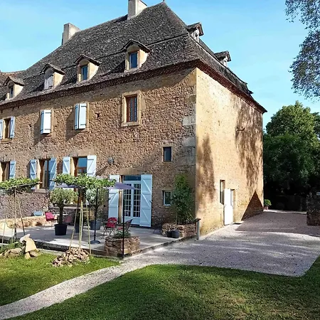 Manoir Du Boscau, Louis Ix *