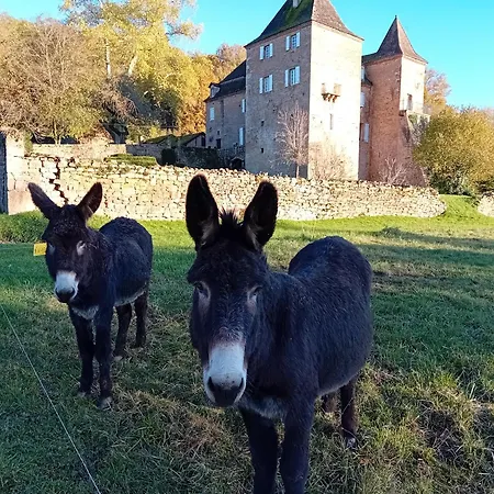 Apartamento Manoir Du Boscau, Louis Ix