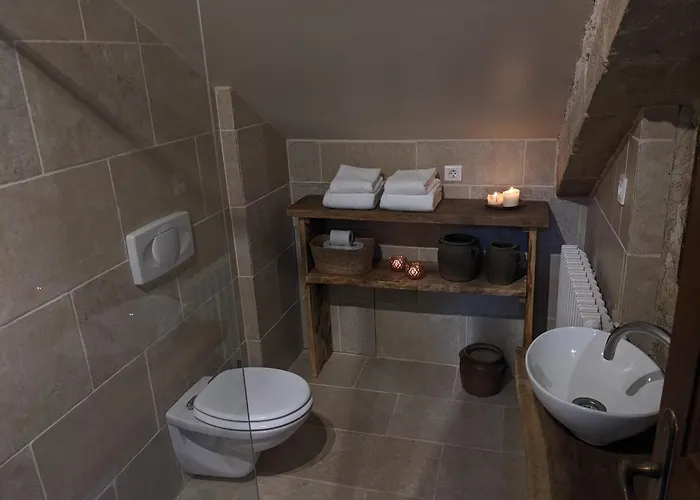 Manoir Du Boscau, Louis Ix * Prudhomat