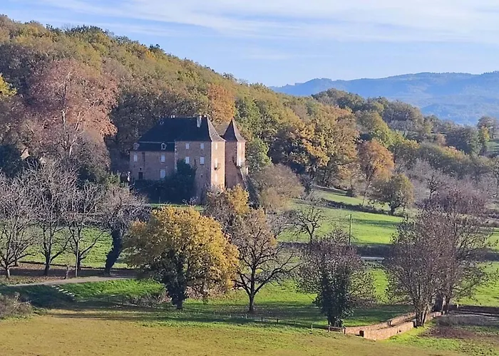 Manoir Du Boscau, Louis Ix