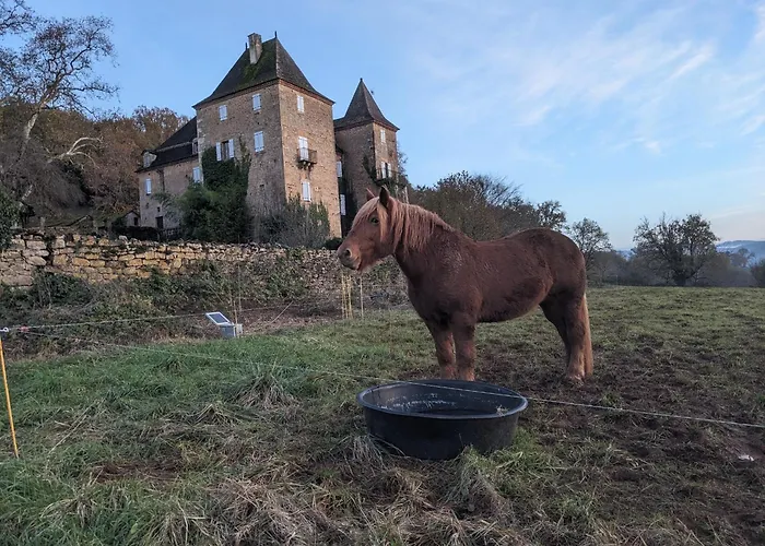 Manoir Du Boscau, Louis Ix Lejlighed Prudhomat