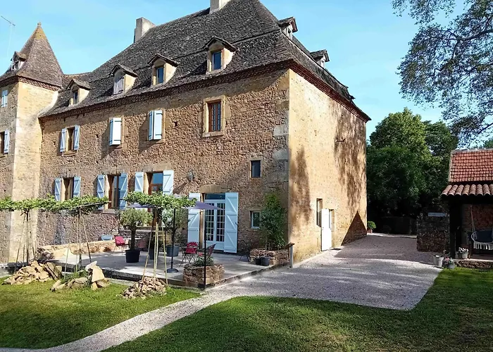 Manoir Du Boscau, Louis Ix *