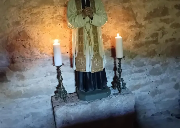 Manoir Du Boscau, Louis Ix *